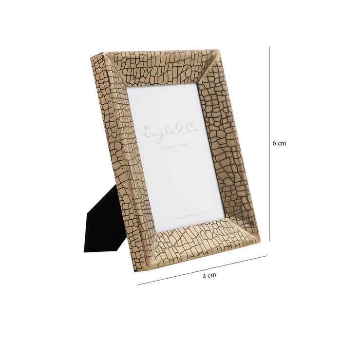Aria Croc Frame M.M.I. OVERSEAS