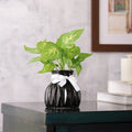 Black WaveCera Vase small M.M.I. OVERSEAS