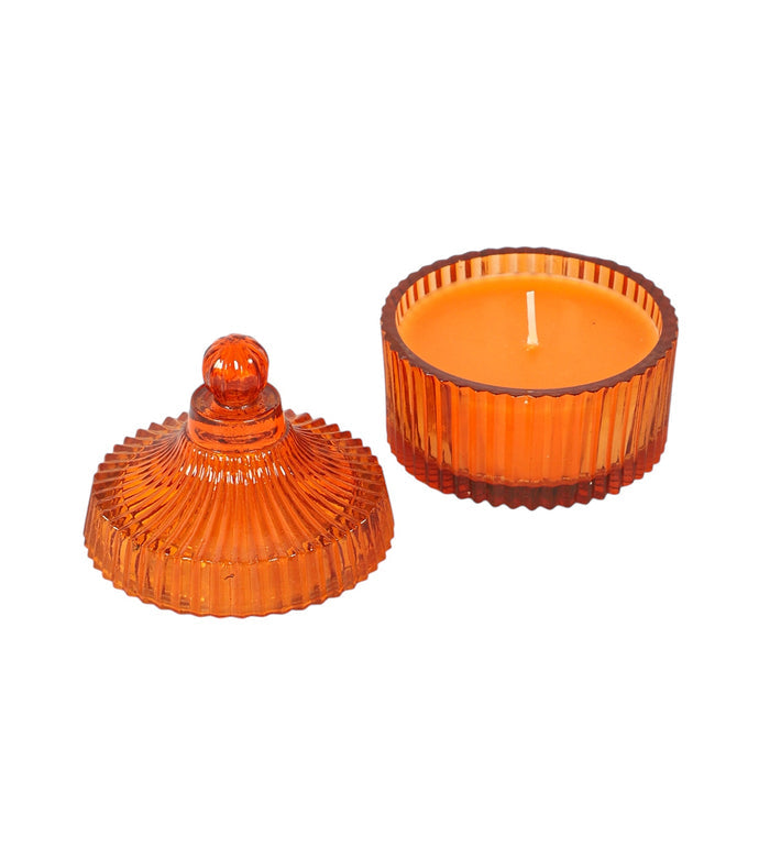 Elara Amber Ember M.M.I. OVERSEAS