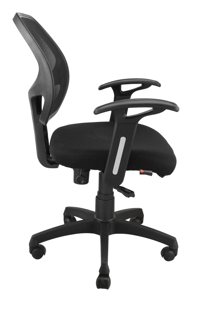 Facile Low back Back Ergonomic Office Chair - Ouch Cart | Executtive chair