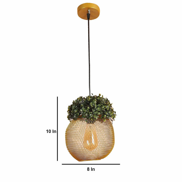 Golden Glass Iron Hanging Lights - Ouch Cart