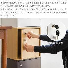 Straight Line Locker Storage/Cabinet/Cube Box By Miza - Ouch Cart
