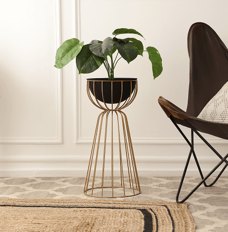 Twin Large Bloom Black floor planters - Ouch Cart